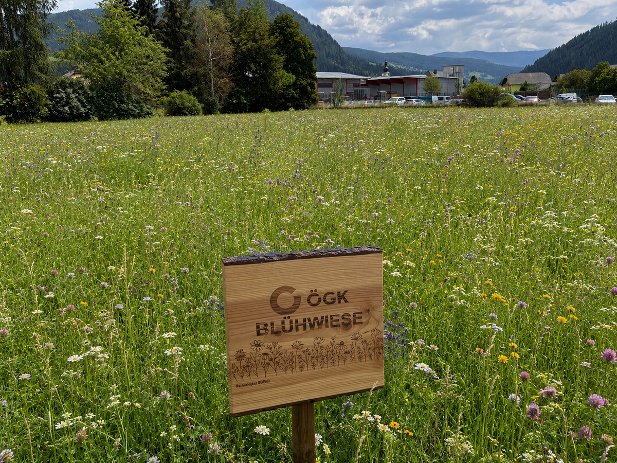 ÖGK Blühwiese in Österreich mit Schild und Bergkulisse